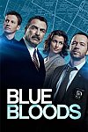 Blue Bloods (8ª Temporada)